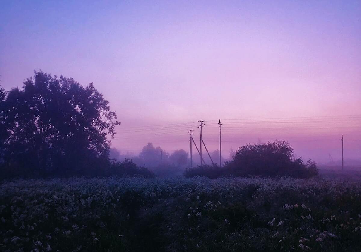 世界杯手机高清观看软件-静待亚冠总决赛 西亚冠军波斯波利斯进入隔离状态
